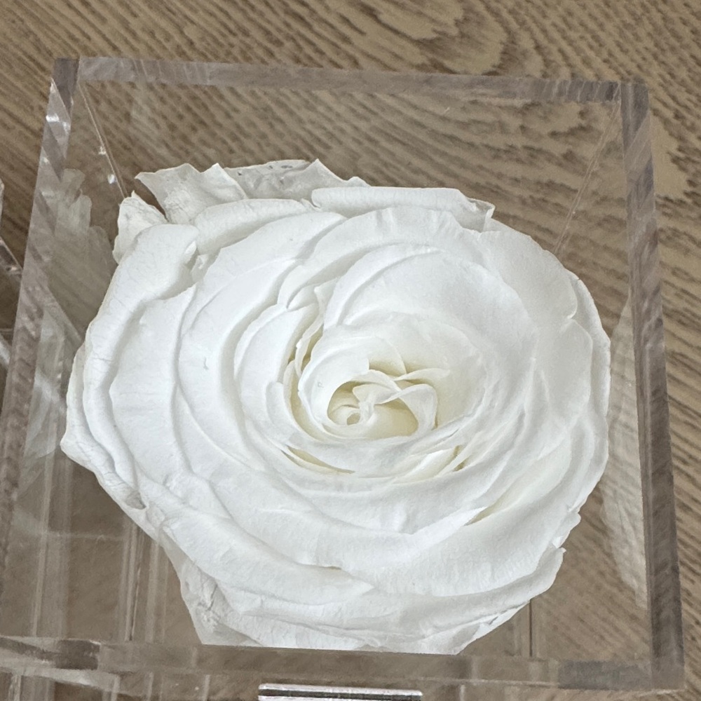 LF White Rose in Clear Acrylic Box